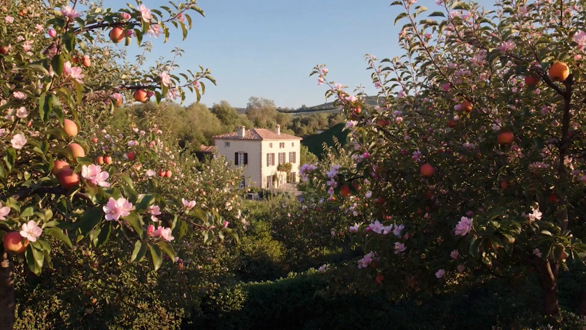 Grok Imagine multi-image to video garden and poolside scene